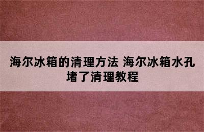 海尔冰箱的清理方法 海尔冰箱水孔堵了清理教程